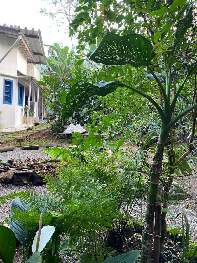 Casa Dos Ventos - Refugio, Sustentabilidade, Conexao Ubatuba Exteriör bild